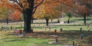 Allegheny Memorial Park - Cover